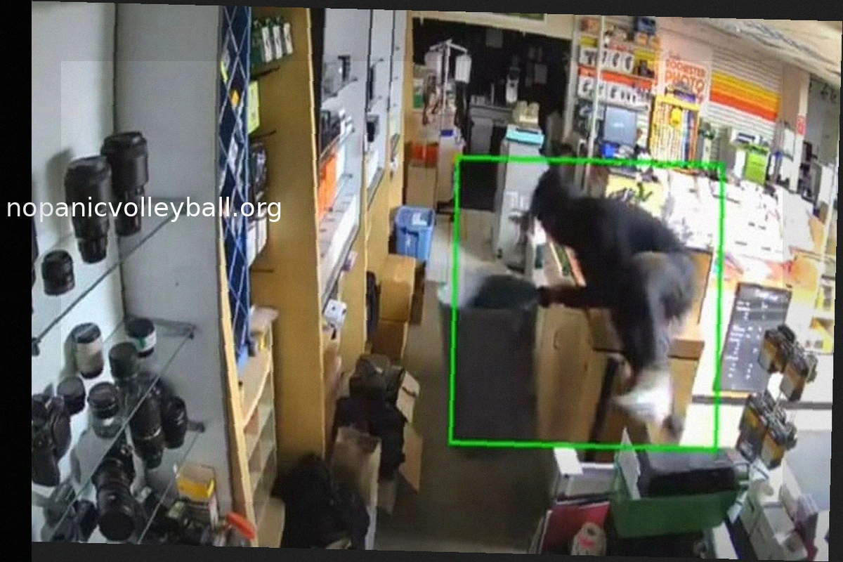 Filmmaking Lab Burglarized, Camera Equipment Stolen After Entrance Forced with Trash Bins