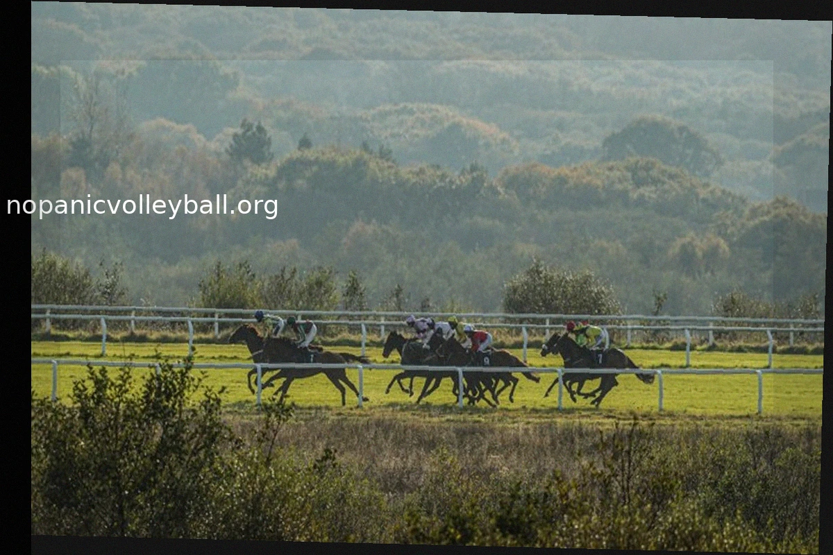Withtearsinmyeyes Aims for First Victory at Ffos Las