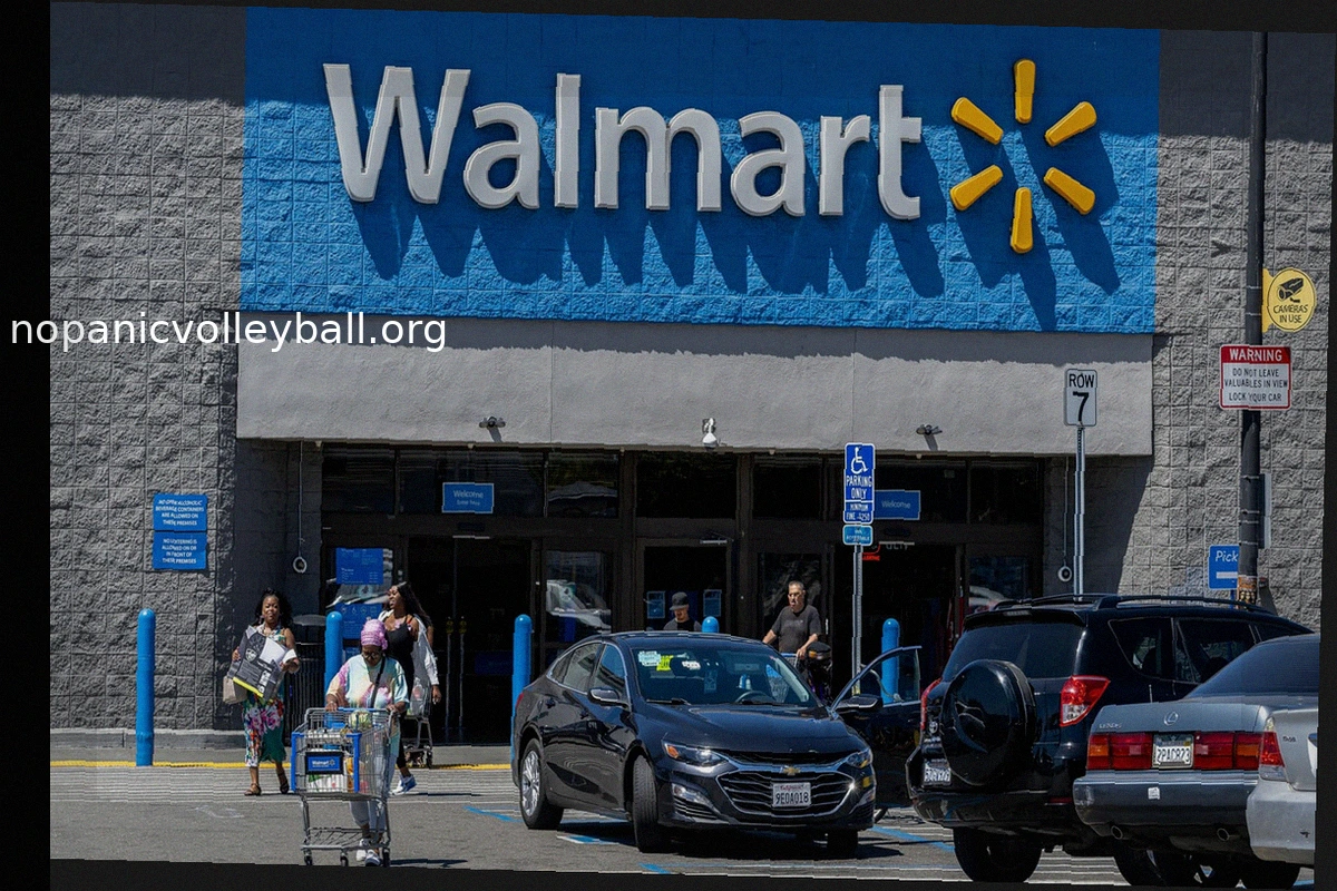 Walmart Raises Full-Year Forecast Amid Tariff Refund, But Stock Dips on Sales Concerns