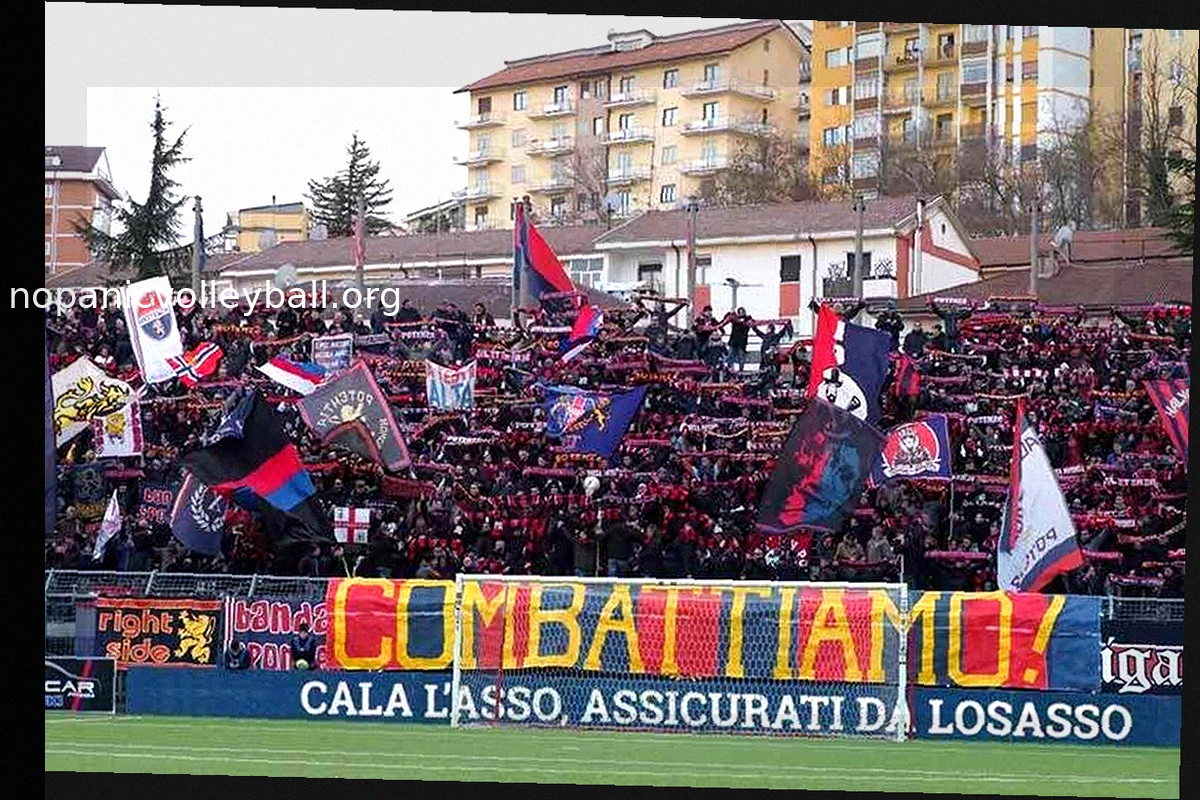 Potenza Welcomes New Defensive Reinforcement: Cornelius Staver Signs